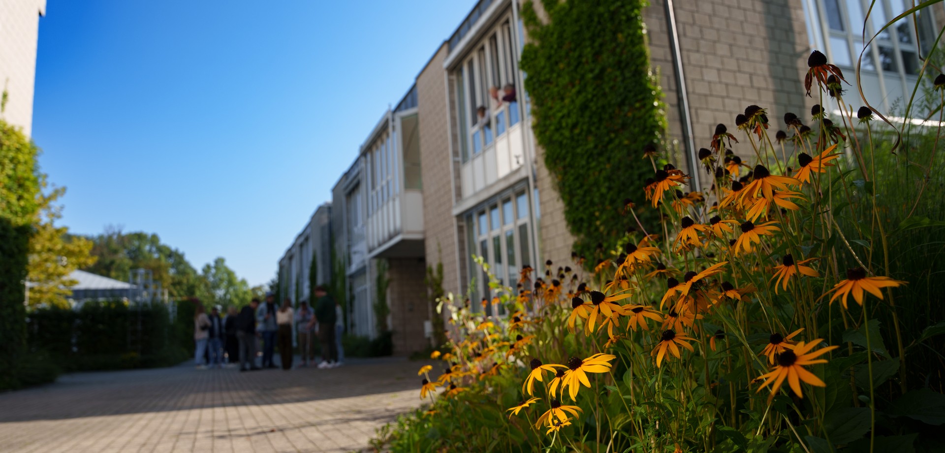 Schuleingang von Schulhof