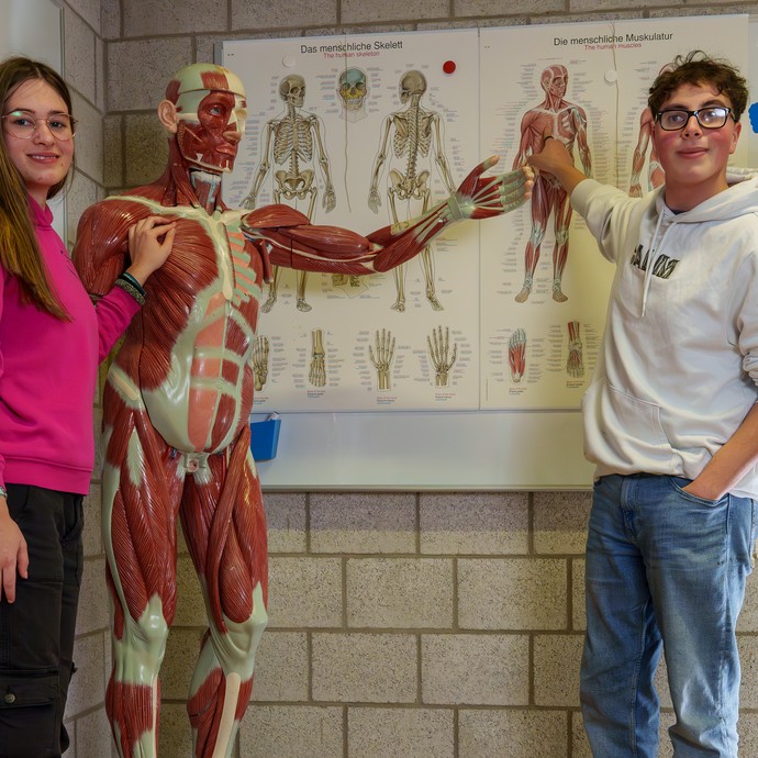Schüler und Schülerin stehen vor einer Skelett und Anatomie Figur (vergrößerte Bildansicht wird geöffnet)