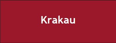 Bericht von der Klassenfahrt nach Krakau